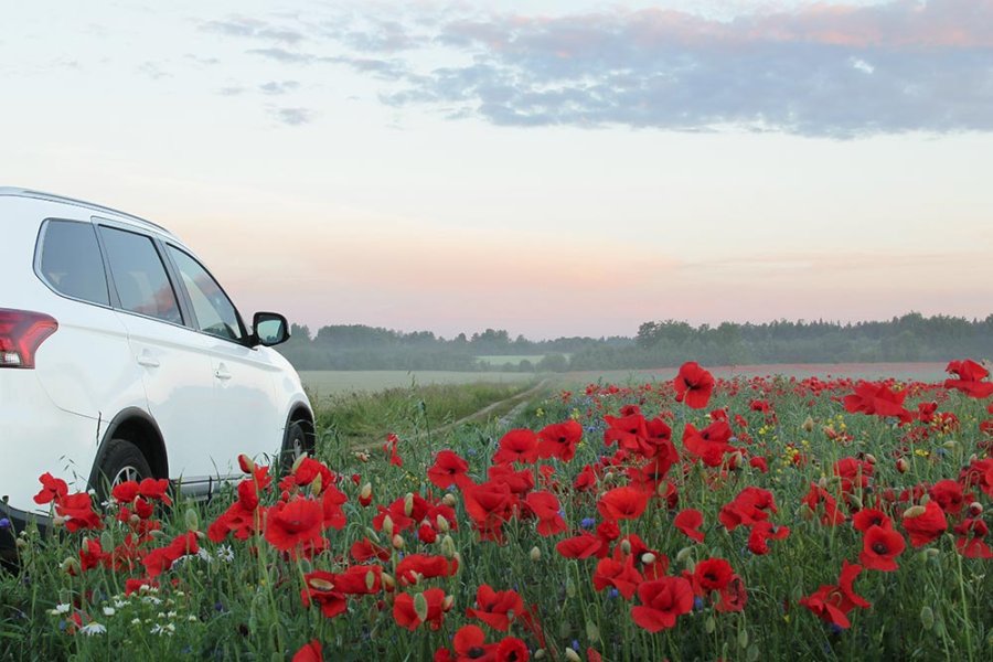 blog-header-image